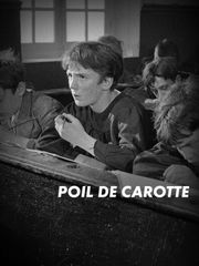 Poil de Carotte