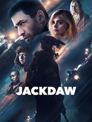 Jackdaw