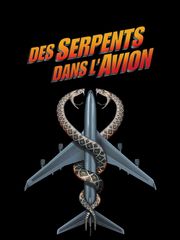 Des serpents dans l'avion