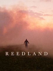 Reedland