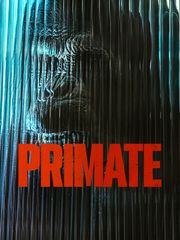 Primate