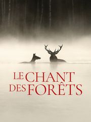 Le Chant des forêts