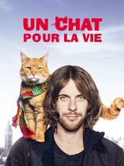 Un chat pour la vie