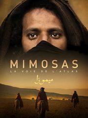 Mimosas, la voie de l'Atlas