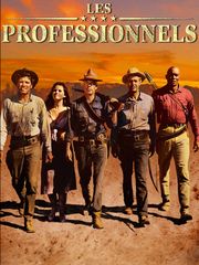 Les professionnels
