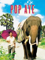 Pop Aye