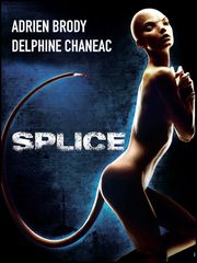Splice