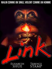 Link