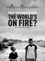 What You Gonna Do When the World's on Fire ?