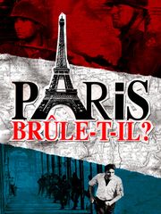 Paris brûle-t-il ?