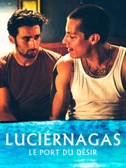 Luciérnagas