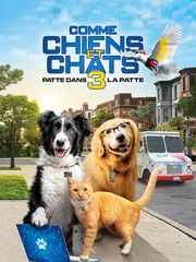 Comme Chiens et Chats 3 : Patte dans la patte