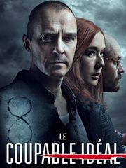 Le coupable idéal