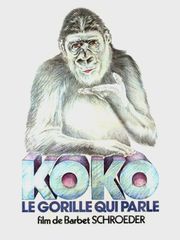 Koko, le gorille qui parle