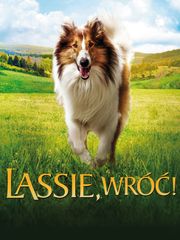 Lassie, wróć!