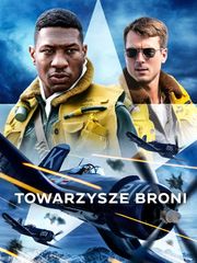 Towarzysze broni