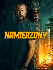 Namierzony