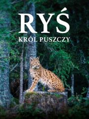 Lynx