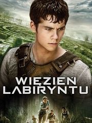 Więzień labiryntu