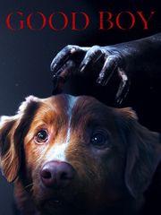 Good Boy