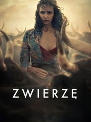 Zwierzę