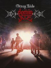 Stray Kids: The Dominate Experience