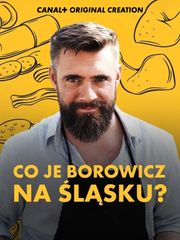 Co je Borowicz na Śląsku?
