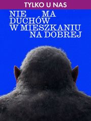 Nie ma duchów w mieszkaniu na Dobrej