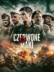 Czerwone maki