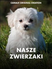 Nasze zwierzaki
