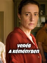 Veréb a kéményben