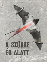 A szürke ég alatt