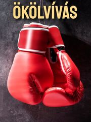 Ökölvívás