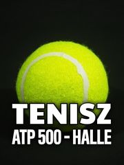 Tenisz: ATP500, Halle
