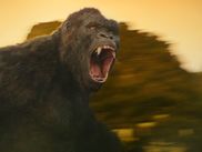 Une semaine monstrueuse vous attend du 9 au 15 juillet sur CANAL+CINÉMA avec des monstres plus terrifiants les uns que les autres.