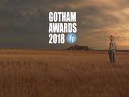 Ce lundi s’est tenue à New York la cérémonie des Gotham Awards et le moins que l’on puisse dire c’est que son palmarès mettant à l’honneur les productions indépendantes américaines a réservé son lot de surprises.