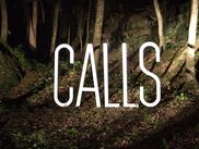 Alors que le chapitre 2 de la série sonore Calls débarque le 27 mai sur CANAL+, vous avez oublié comment se finissait (ou même commençait) le premier chapitre ? On rembobine la bande de ces enregistrements trouvés sur divers supports.