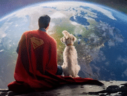 Le très attendu reboot de la franchise SUPERMAN par James Gunn sera reçu avec les honneurs pour son avant-première. Rarement un film de super-héros aura généré autant d’attente et de questions.