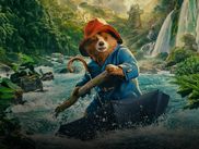 Vous connaissiez le sorcier le plus célèbre d’Angleterre… voici l’ourson le plus "cute" qui soit. Tout le monde connaît Harry Potter, le sorcier à la cicatrice en forme d’éclair qui a conquis la planète. Mais l’Angleterre a aussi donné vie à un autre héros, beaucoup plus poilu et bien plus amateur de marmelade : Paddington. Avec ses trois films, son héritage littéraire et son aura nationale, le petit ours en duffle-coat bleu et chapeau rouge a su se faire une place unique dans l’imaginaire collectif.