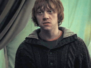 Dans HARRY POTTER ET LES RELIQUES DE LA MORT - PARTIE 1, le trio formé par Harry, Hermione et Ron se retrouve plongé dans une cavale éprouvante pour retrouver et détruire les Horcruxes de Voldemort. Sous la pression et l’influence maléfique du médaillon qu’ils portent chacun à tour de rôle, Ron finit par quitter ses amis. Pourtant, quelques semaines plus tard, il réapparaît au moment décisif. Comment a‑t‑il réussi à les localiser ?