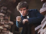 Il y a 10 ans, LES ANIMAUX FANTASTIQUES inaugurait une nouvelle saga cinématographique dans l’univers des sorciers. Ce premier opus se déroule dans le New York des années 1920 et suit les mésaventures du magizoologiste Norbert Dragonneau. Mais qu’est‑ce qui relie ce récit de créatures échappées dans les rues de Manhattan à la saga de Poudlard ? On vous explique.