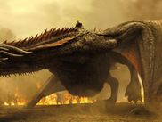 Alors que l’univers télévisé de GAME OF THRONES continue de s’étendre avec la diffusion de A KNIGHT OF THE SEVEN KINGDOMS, c’est un autre spin-off qui pourrait bien devenir un événement prochainement : la conquête d’Aegon. On vous explique.