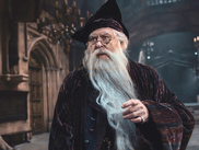Découvrez tout ce qu'il faut savoir sur la très attendue série HARRY POTTER, prévue pour Noël 2026 sur HBO Max (disponible avec CANAL+).