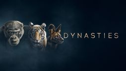 Dynasties