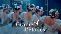 Graines d'étoiles... cinq ans après