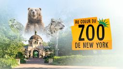 Au cœur du zoo de New York