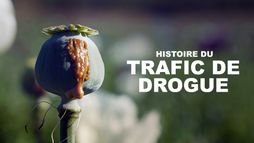 Histoire du trafic de drogues