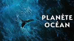 Planète Océan