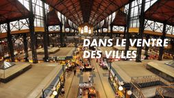 Dans le ventre des villes