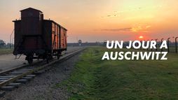 Un jour à Auschwitz